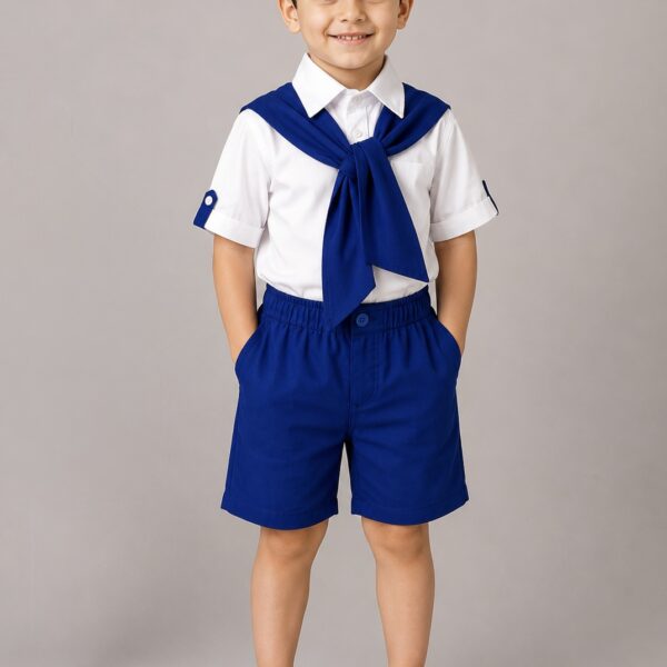 Elegant Boy suit